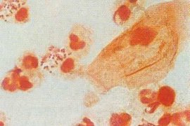 t01fe23a30b5db231fc t01fe23a30b5db231fc