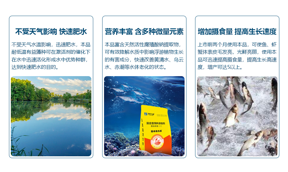 水產(chǎn)養(yǎng)殖肥水調(diào)水肥水動力源產(chǎn)品功效