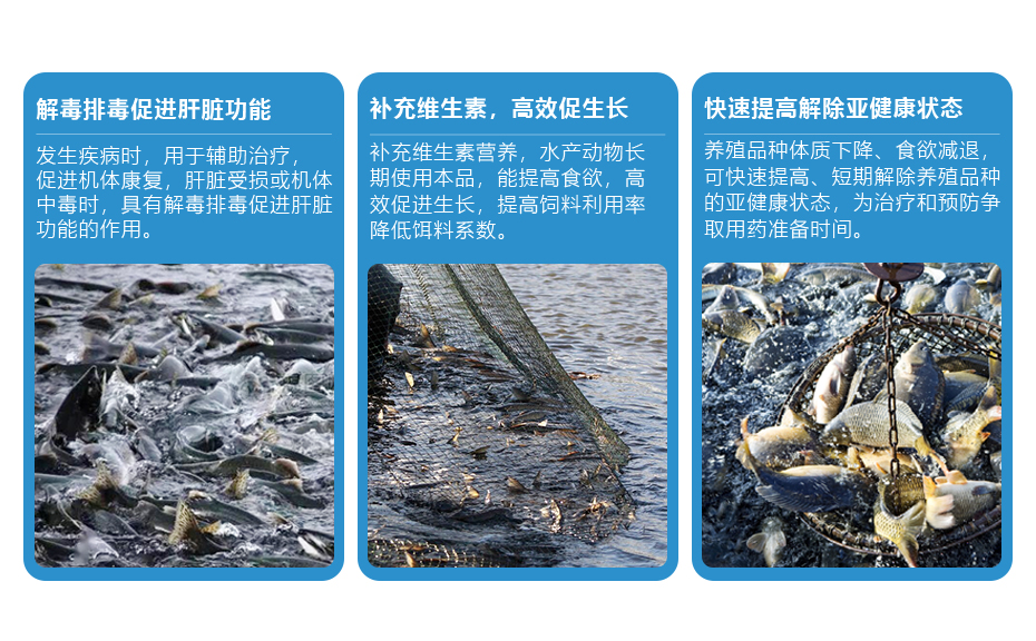 水產飼料添加劑漁美安產品功效