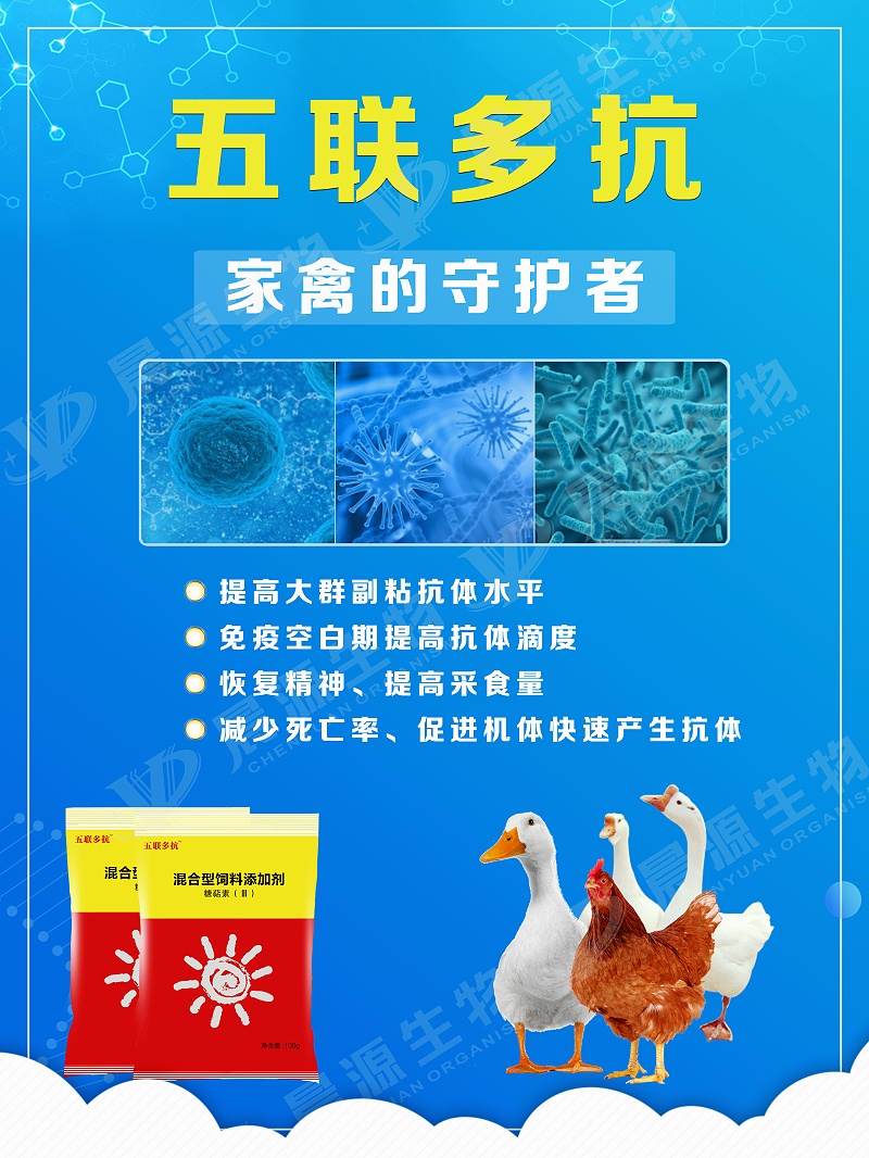 五聯多抗2(1) 五聯多抗2(1)