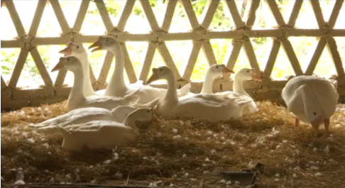 eb7b1652f73b155b2299db56fcbfe13 eb7b1652f73b155b2299db56fcbfe13