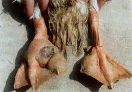 微信圖片_20210709101932