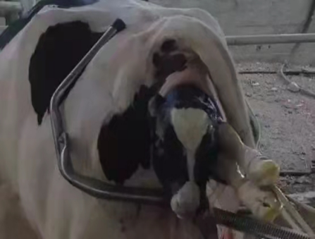 微信圖片_20210709095611