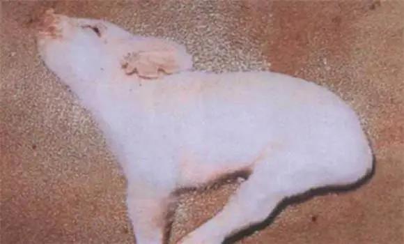 微信圖片_20210512170153