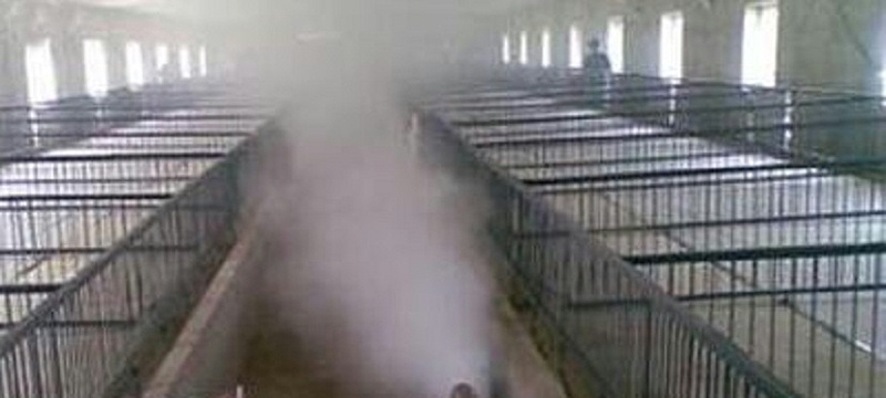 豬場生物安全管理之消毒