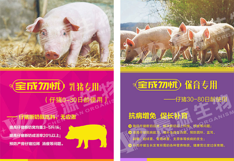 全程勿憂--乳豬專用、保育專用