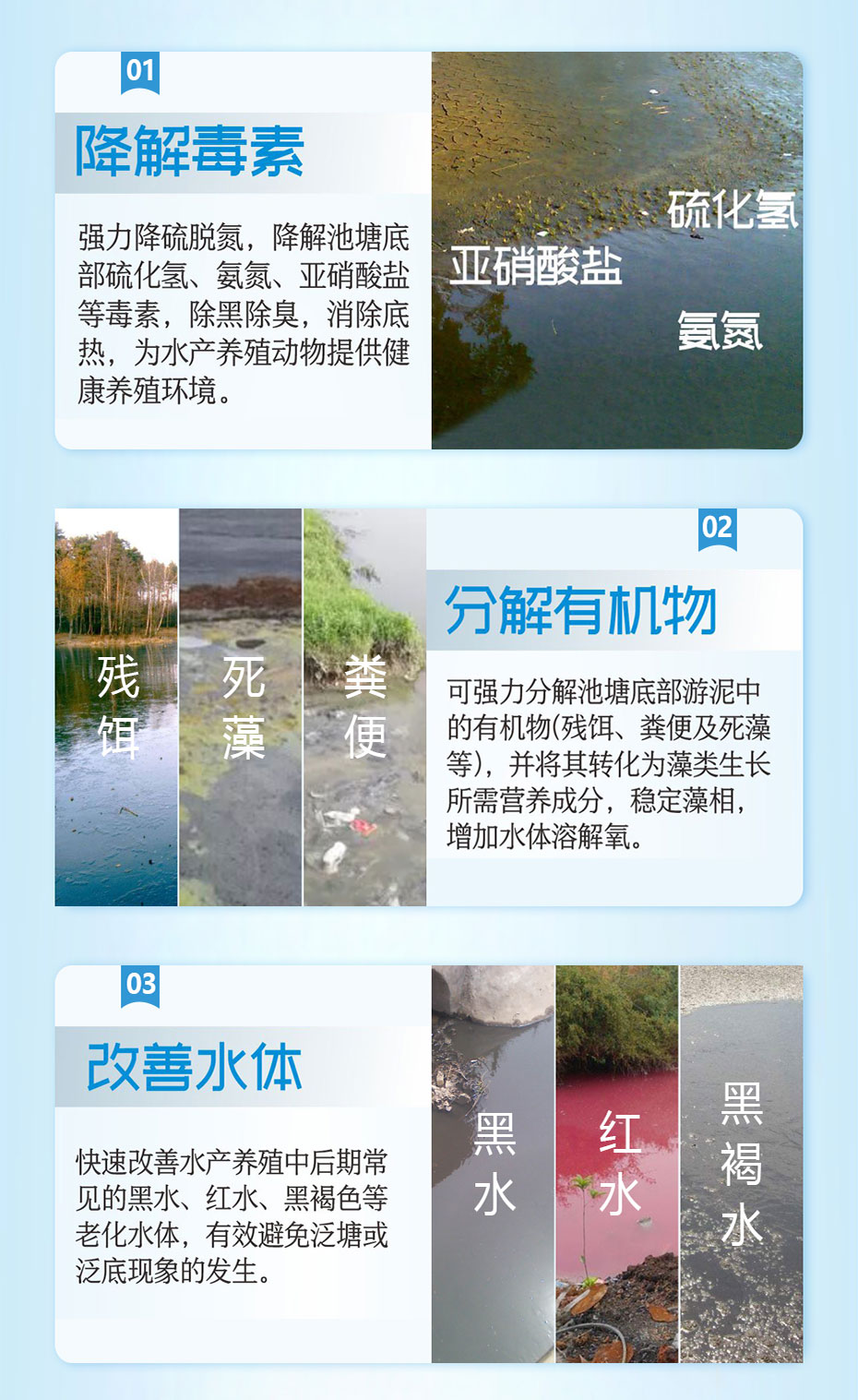 水產養殖生物改底飼料添加劑強生源