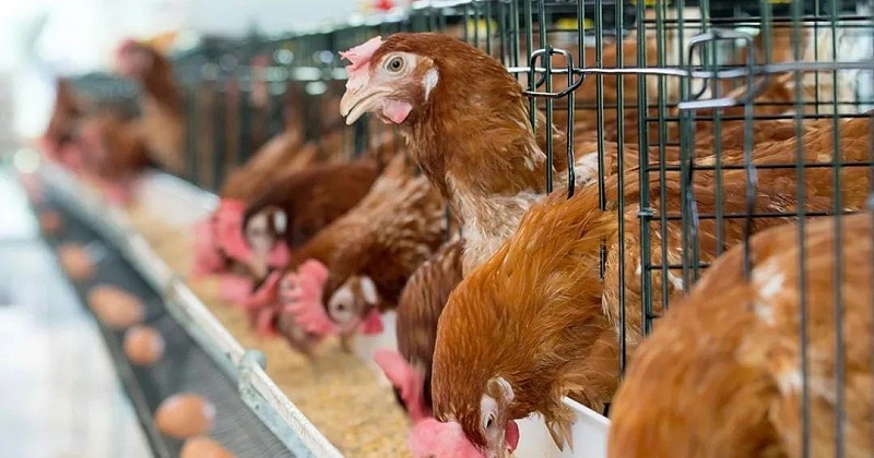 微信圖片_20210706161029