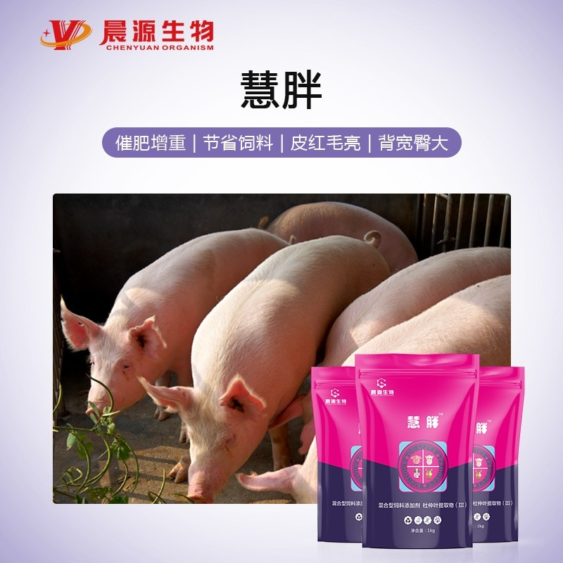 全成勿憂--慧胖 全成勿憂--慧胖