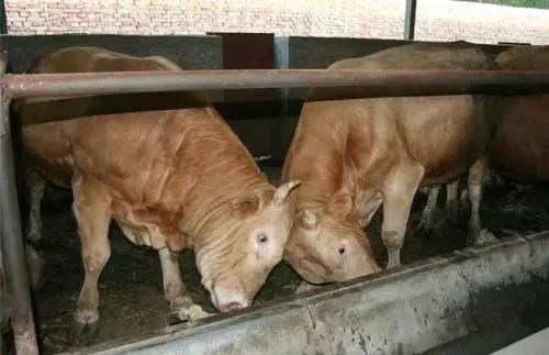 微信圖片_20210605173746