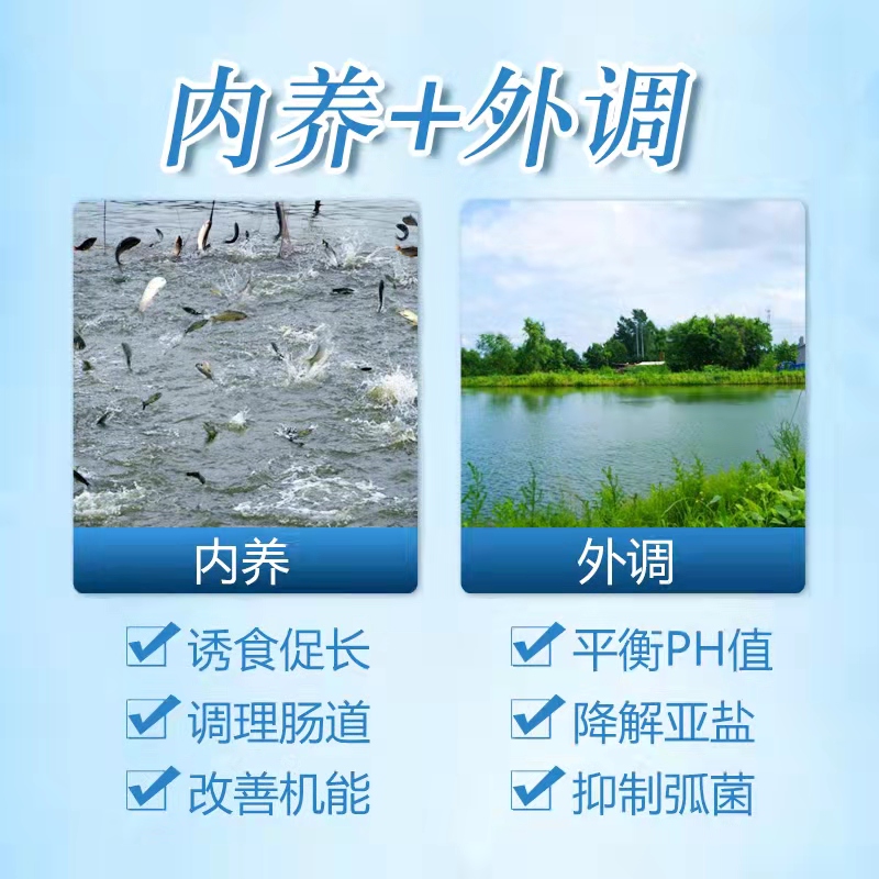 補菌活水-乳動力 補菌活水-乳動力