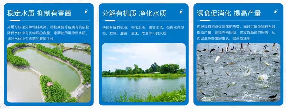 水產飼料添加劑乳動力