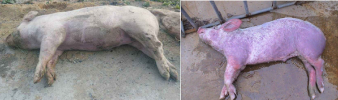 微信圖片_20210324104632