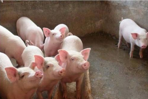 微信圖片_20210324105159