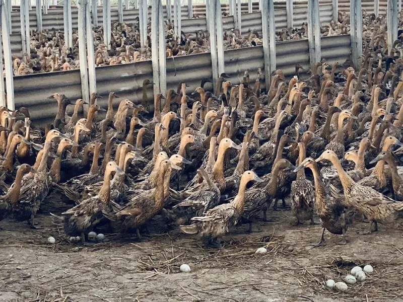 微信圖片_20210716114958