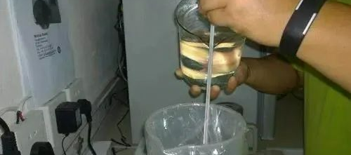 豬場產仔率低原因