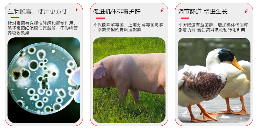 常無霉作用用途