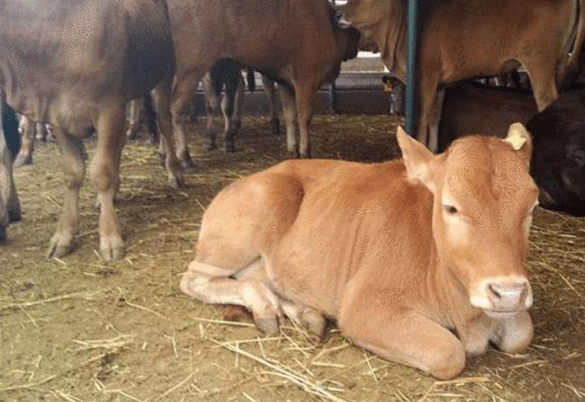 微信截圖_20220331164054