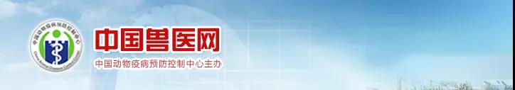 中國動物疫病預防控制中心關于印發《非洲豬瘟防控技術指南》的通知