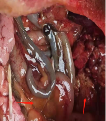 微信圖片_202204071510032 微信圖片_202204071510032